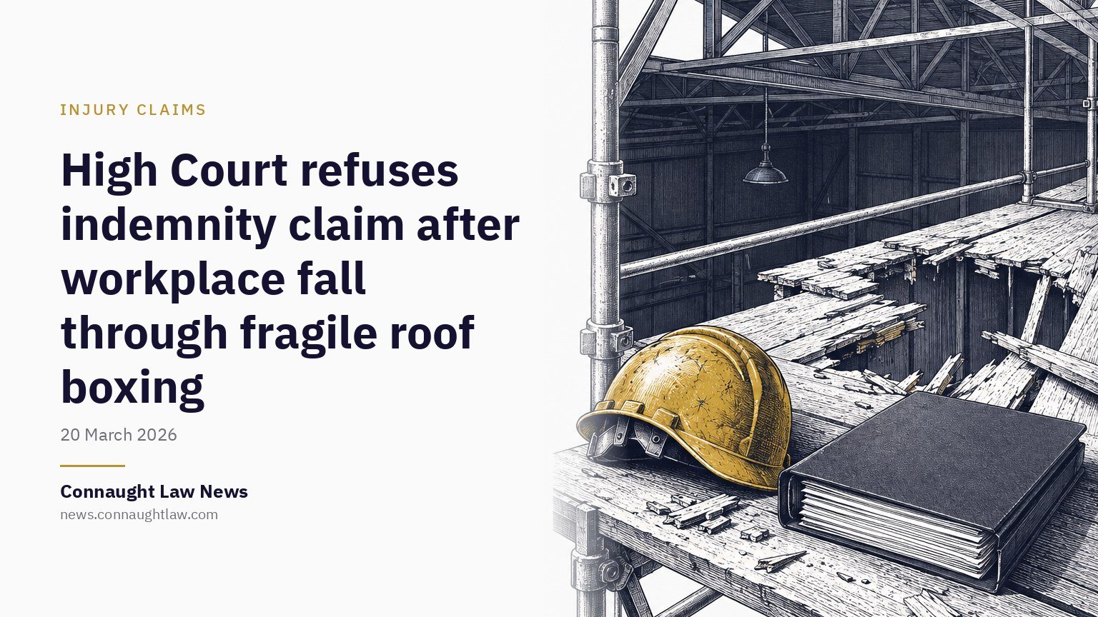 High Court refuses indemnity claim after workplace fall through fragile roof boxing